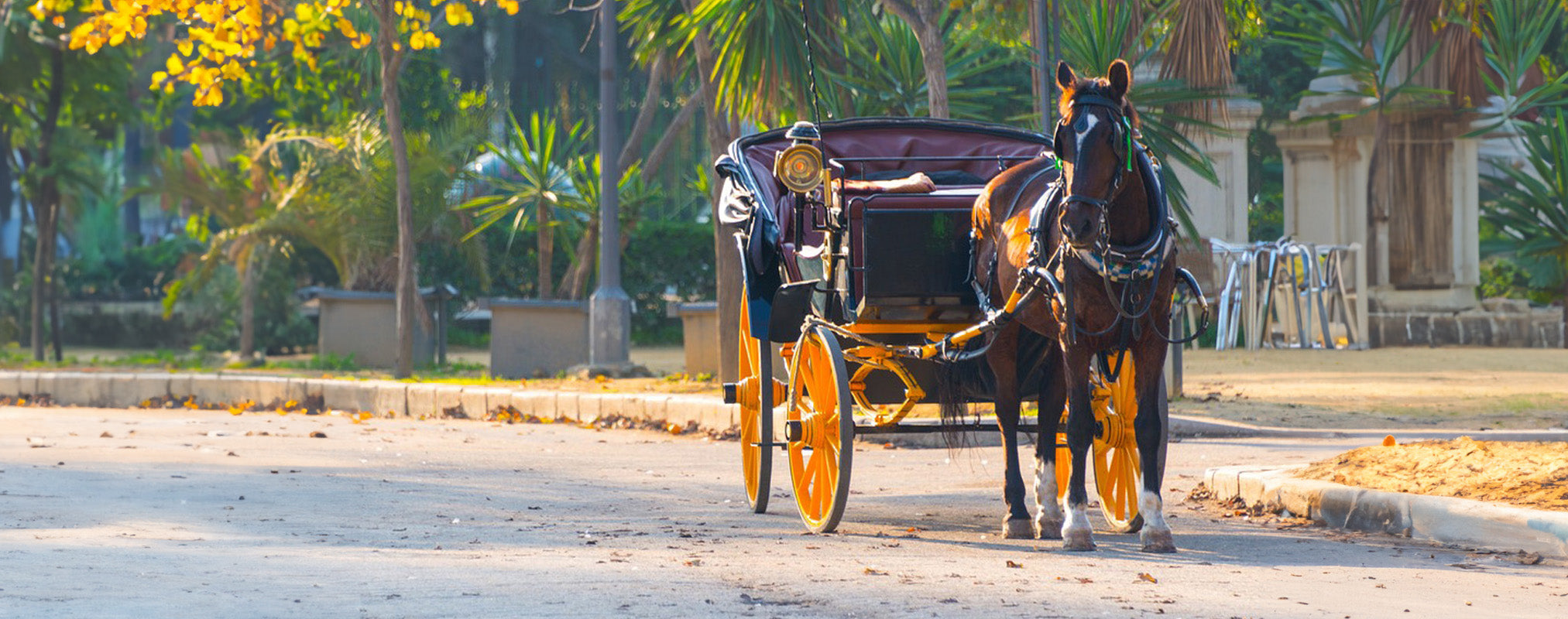 Les parfums inspirés de Séville