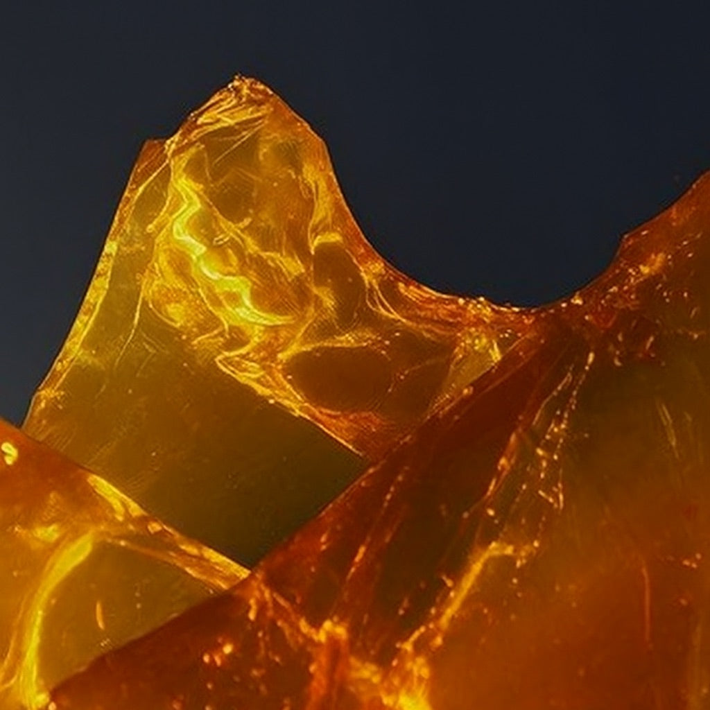 Ambre Oriental | Grande Bougie parfumée