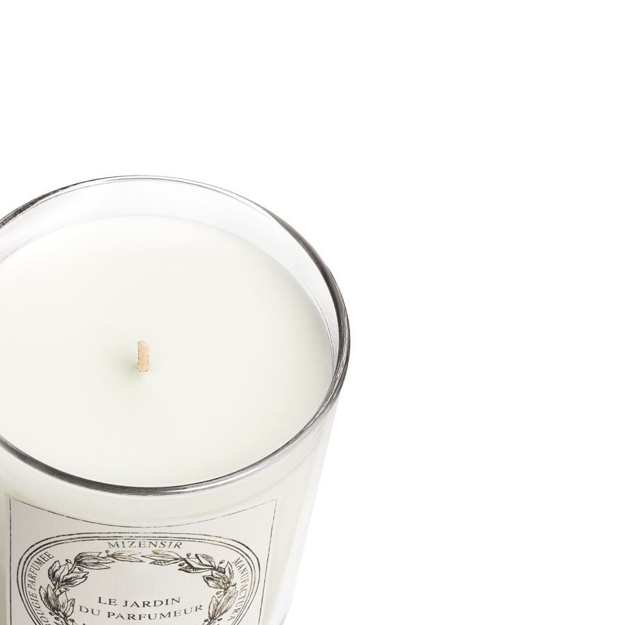 Cresson de Fontaine | Scented candle