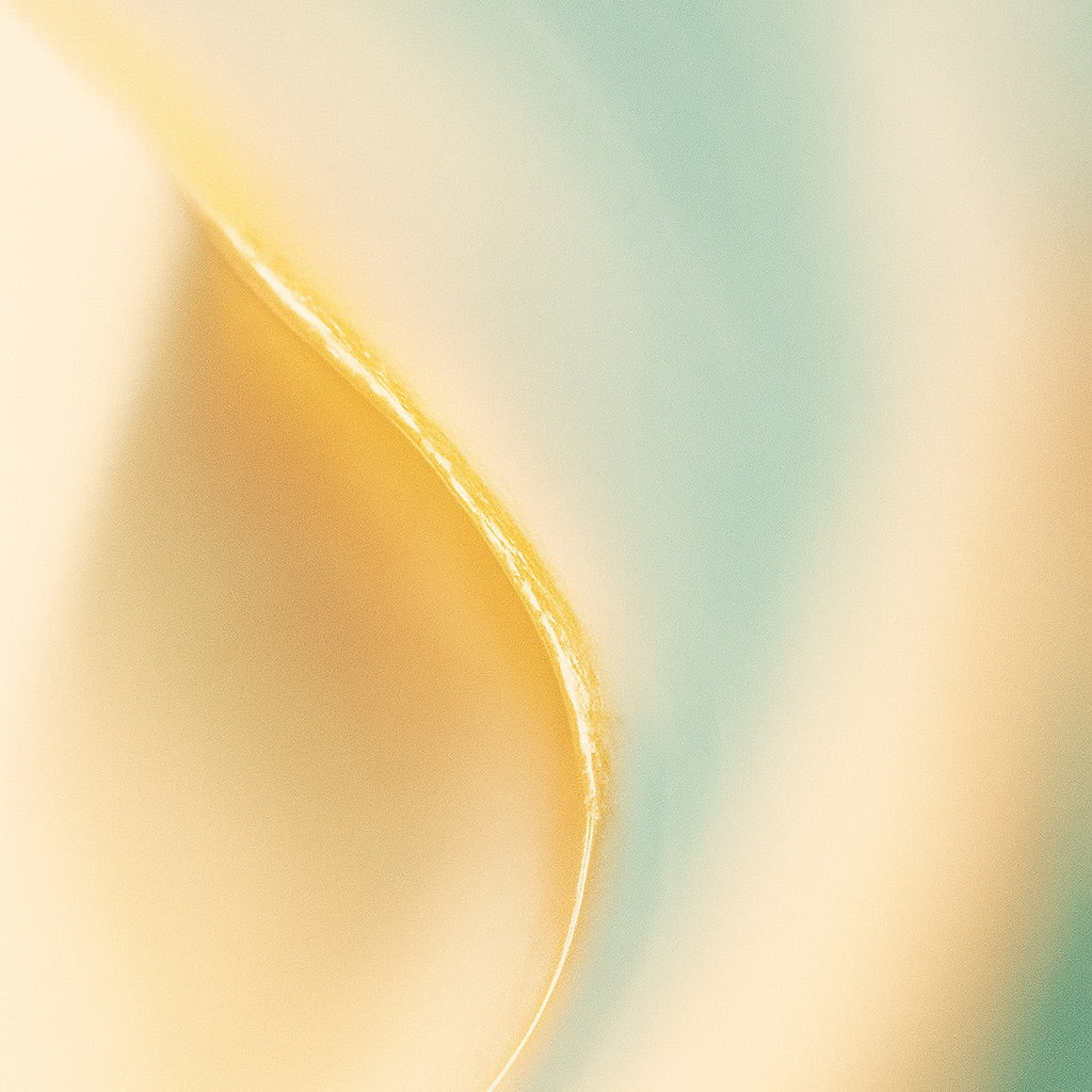 Jardin Andalou | Large scented candle