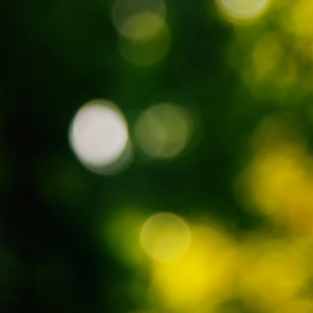 Lierre et Capucine | Mini Bougie parfumée