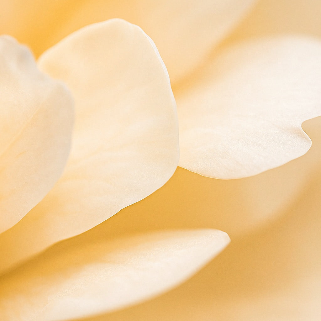 Néroli Impérial | Candela profumata grande