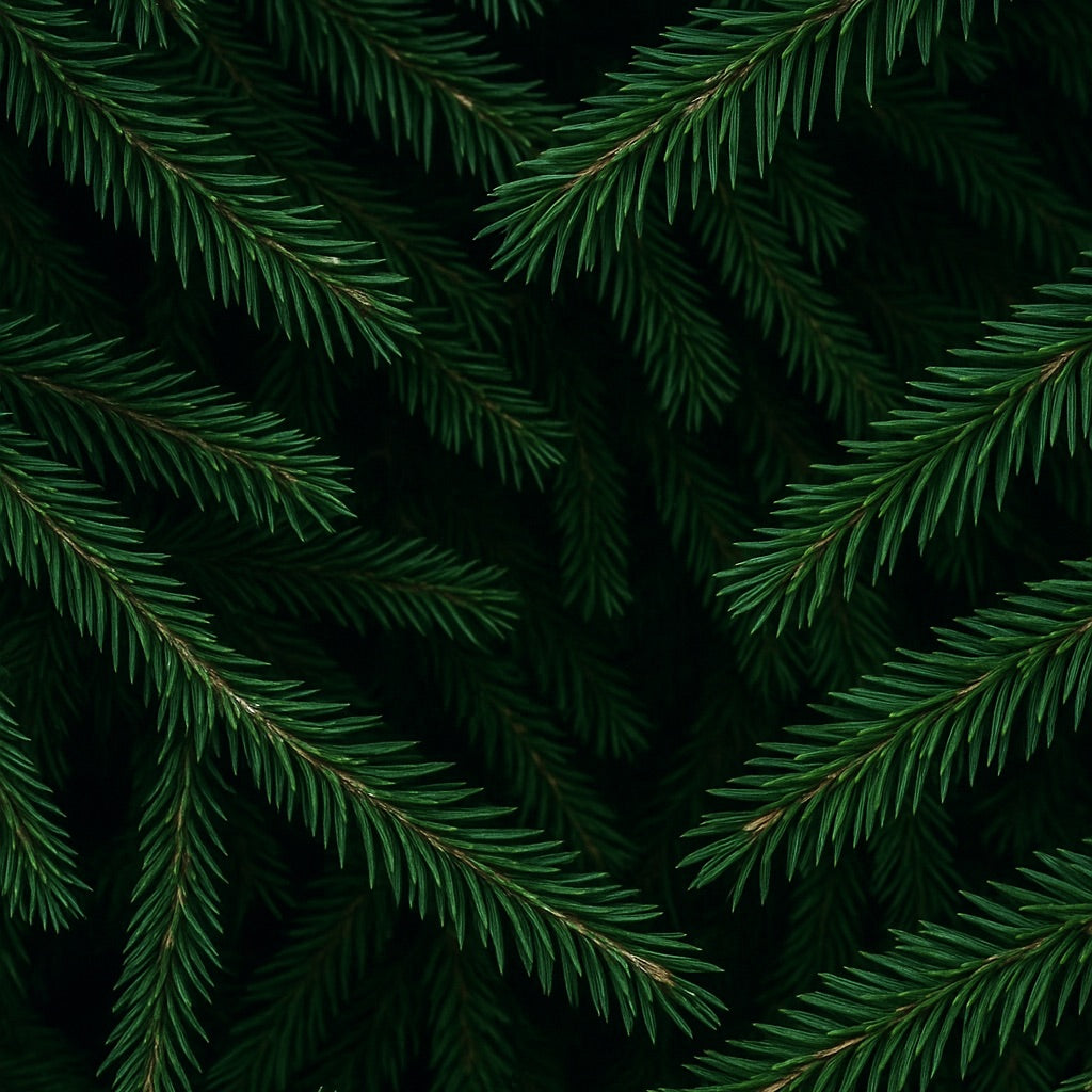 Sapin de Noël | Bougie parfumée