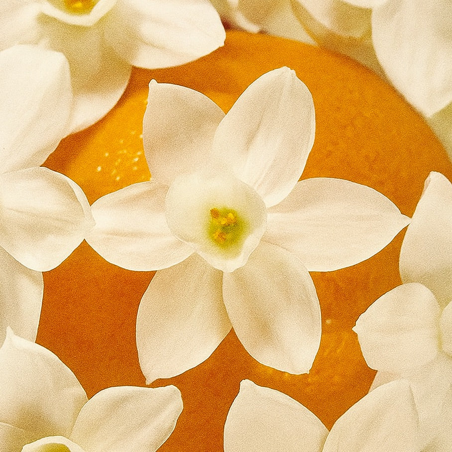 Soleil d'Eté | Raumdüft