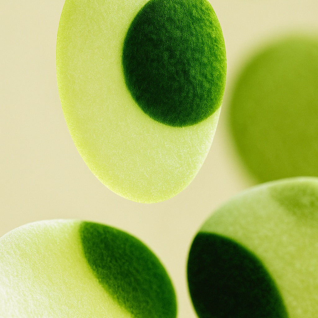 Vert Amande | Duftkerze