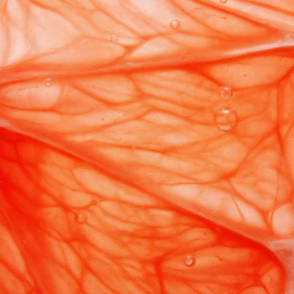 Zeste de Pamplemousse | Duftkerze