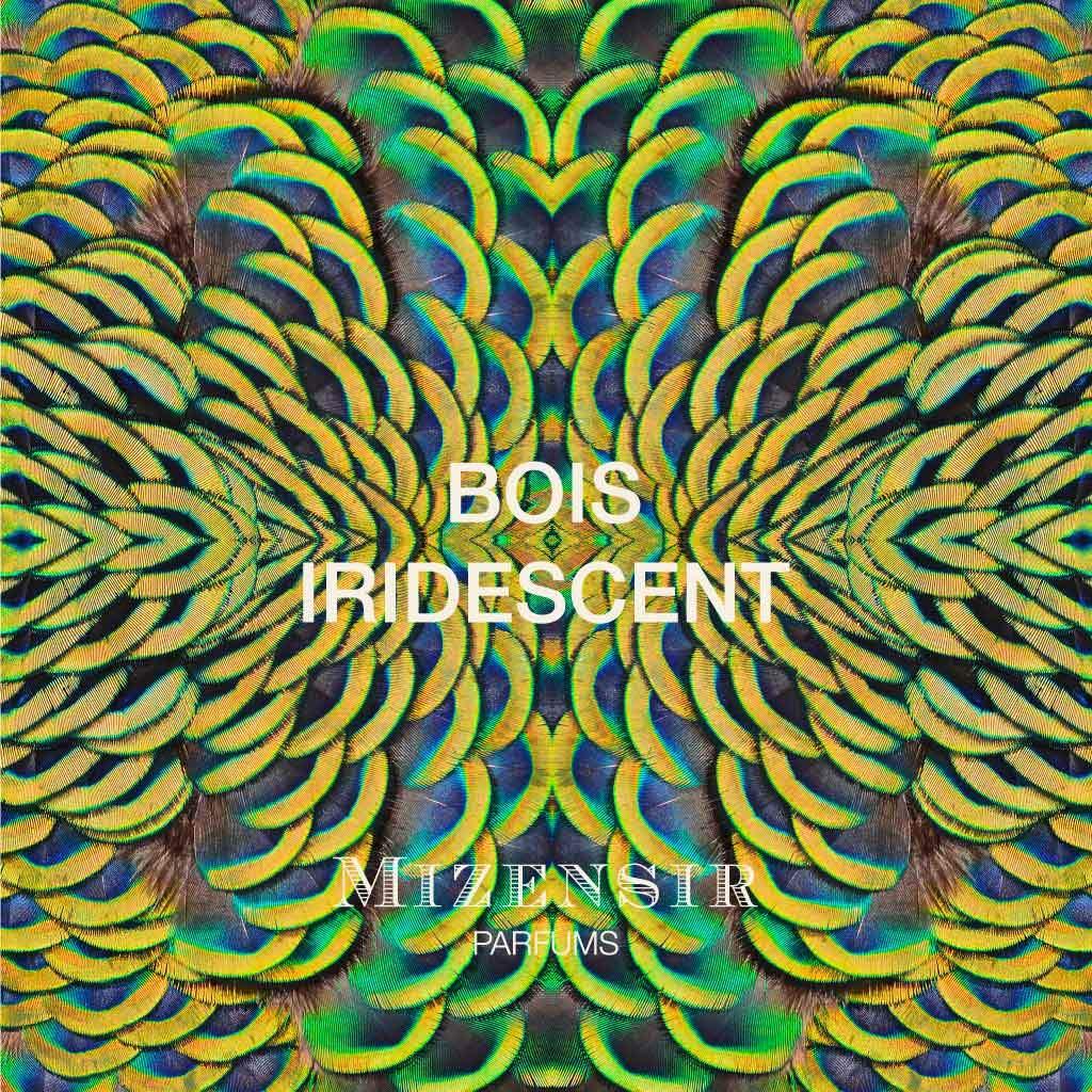 BOIS IRIDESCENT | Zerstaüber