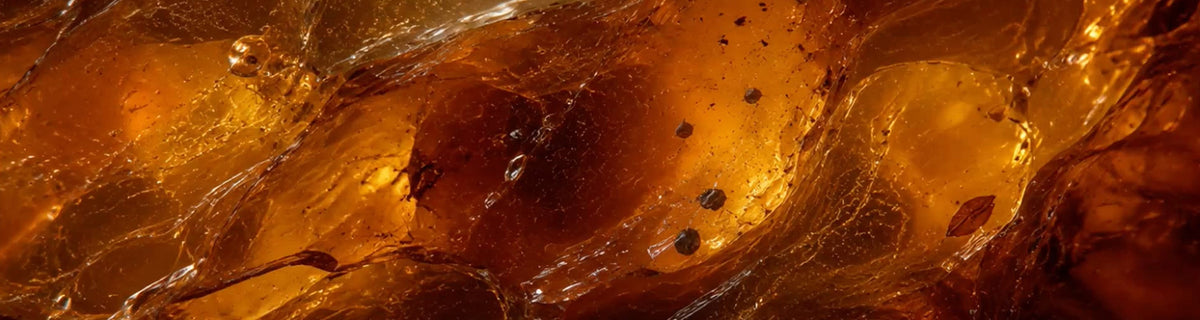 L'odeur de l'ambre : quelle place en parfumerie ?