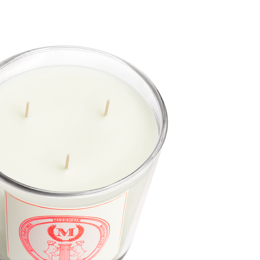Cocktail d'Agrumes | Large scented candle