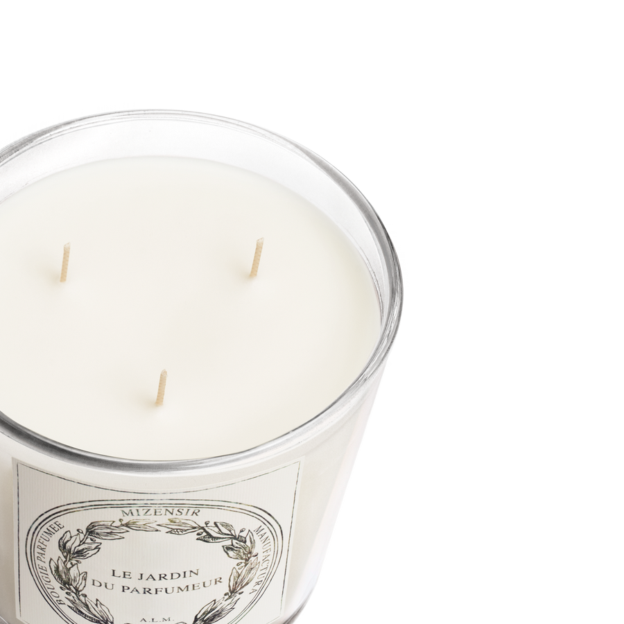 Fleur d'Olivier | Candela profumata grande