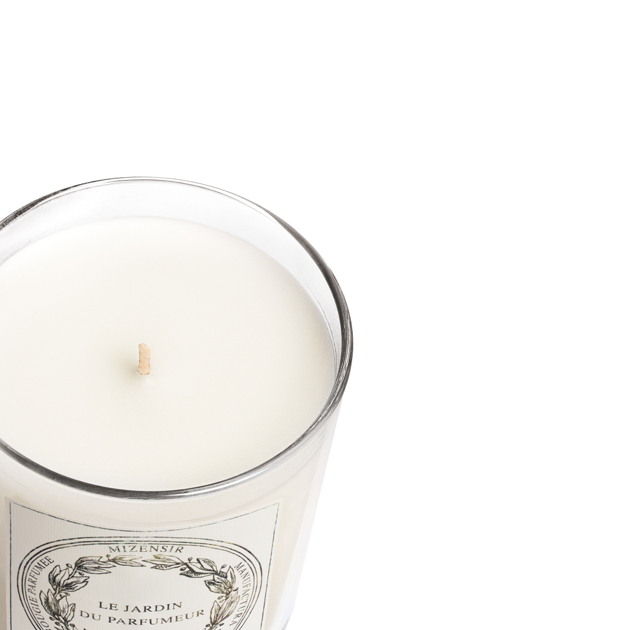 Fleur d'Olivier | Candela profumata