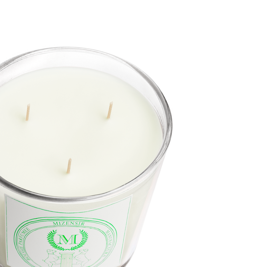 Menthe à l'Eau | Large scented candle