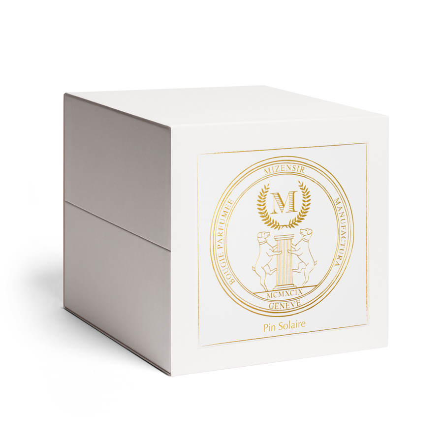 Pin Solaire | Large scented candle