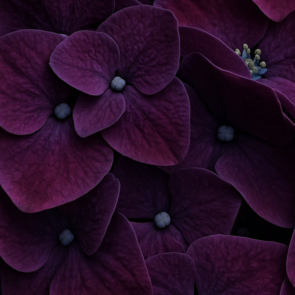 Lilas Noir | Mini scented candle