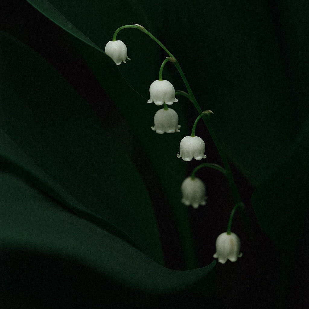 Muguet de Mai | Mini scented candle