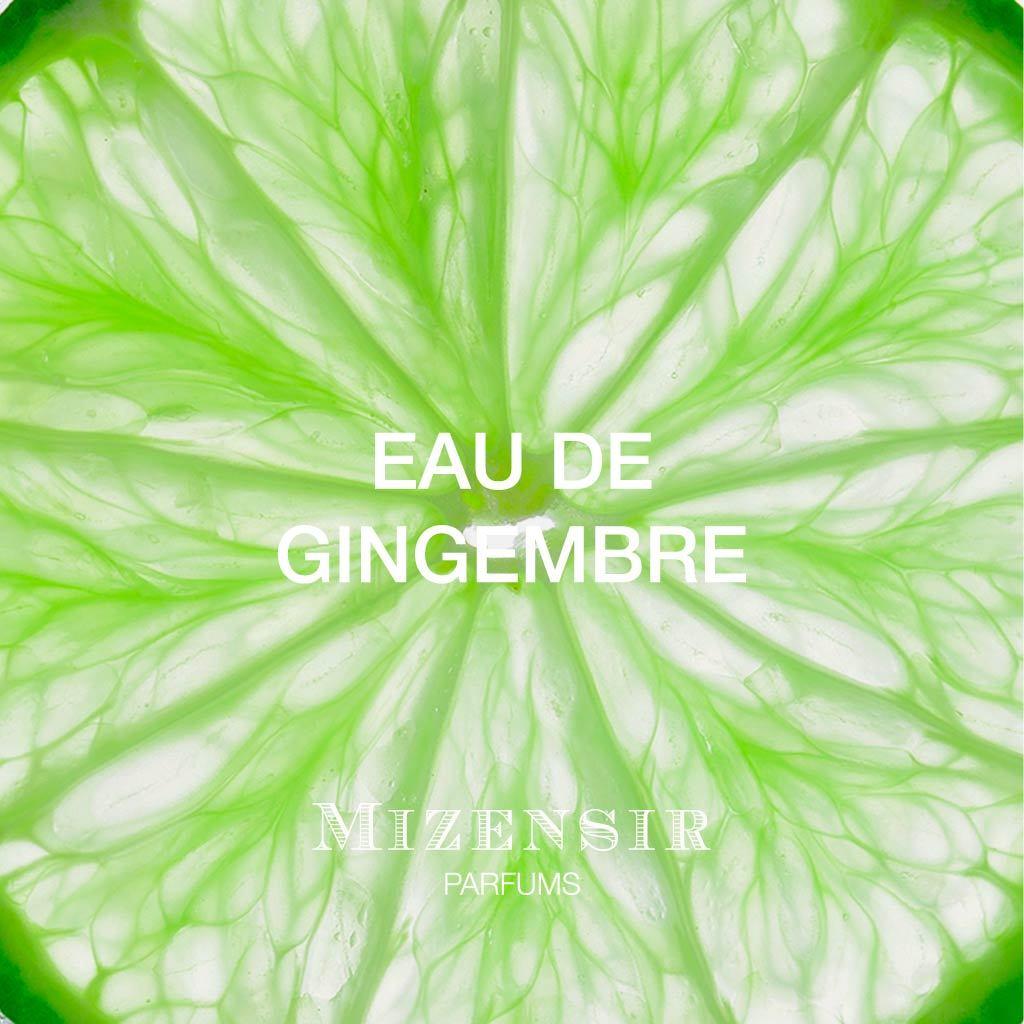 Niche Perfume | Eau de Gingembre | Mizensir Genève